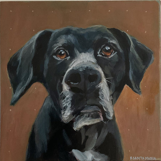 Custom Pet Portrait