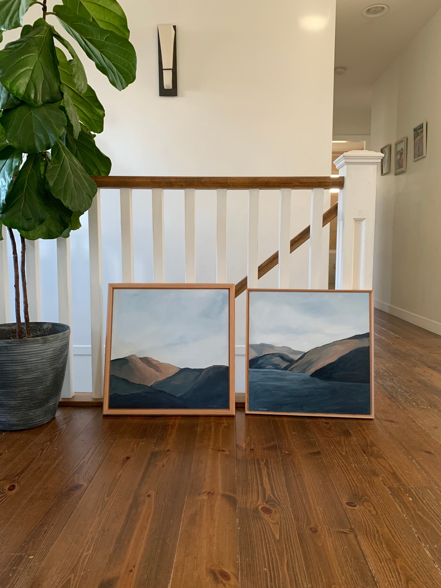 Okanagan Mountain Study #8