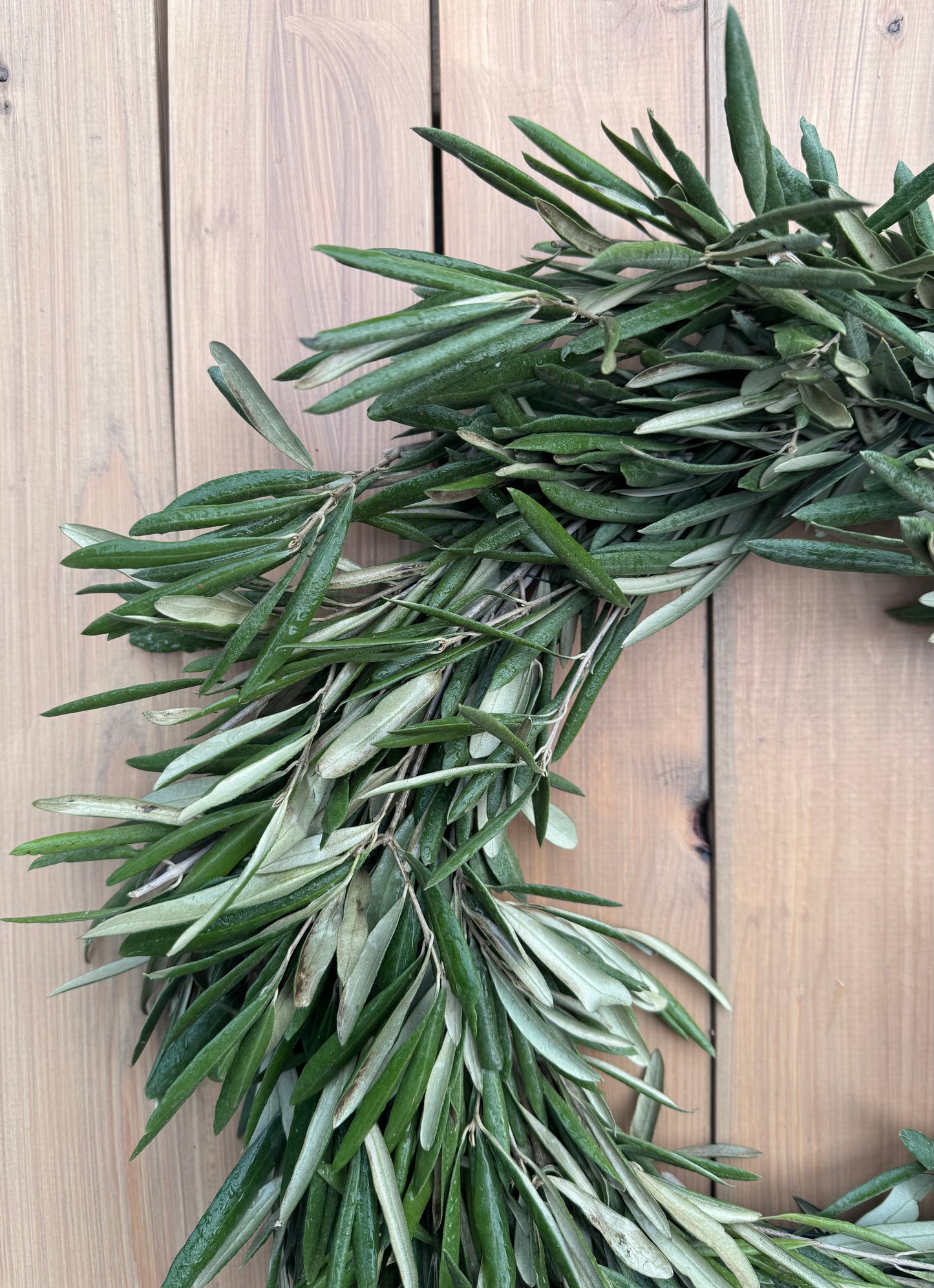 Fresh Olive Branch Wreath