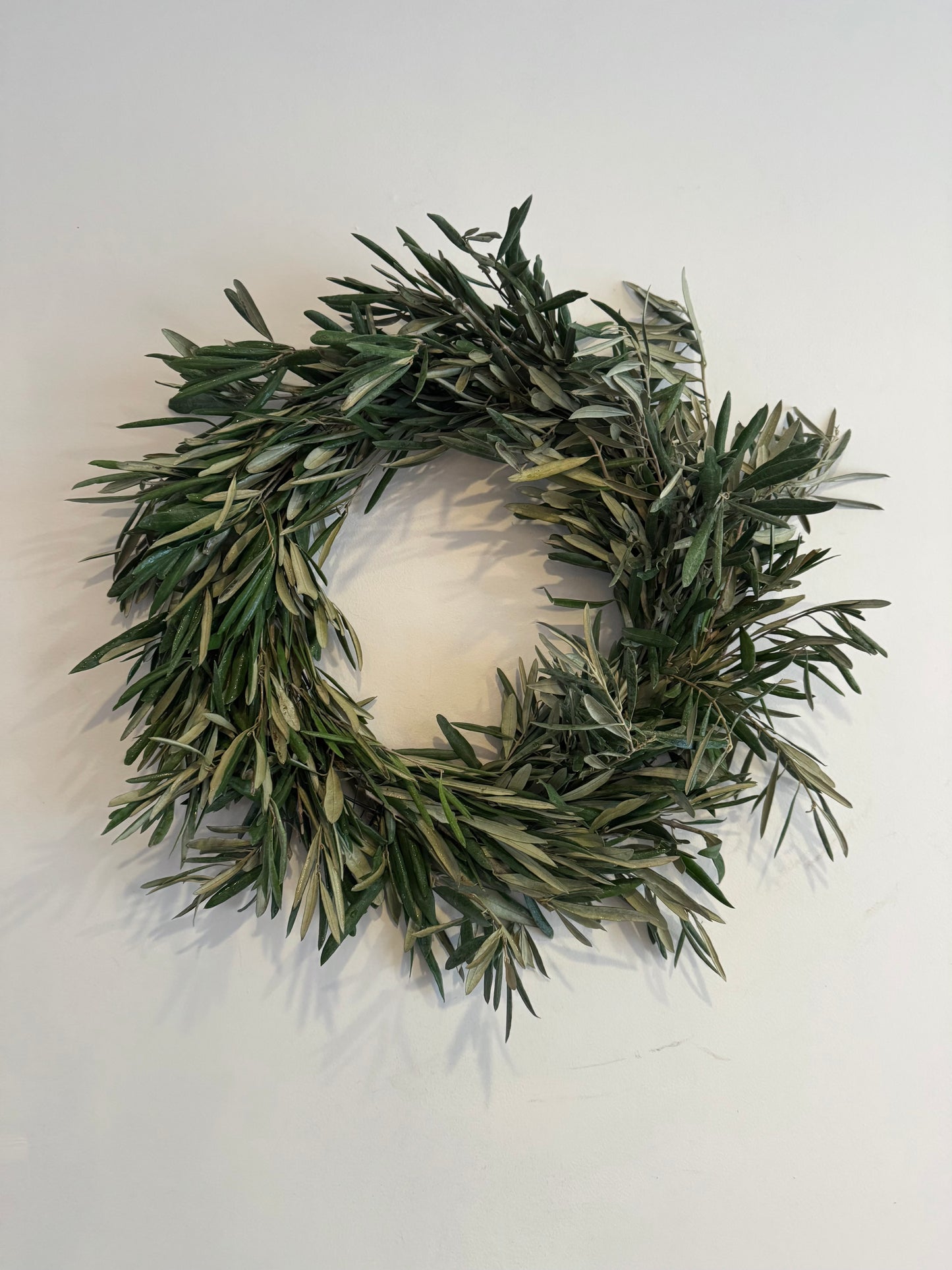 Fresh Olive Branch Wreath