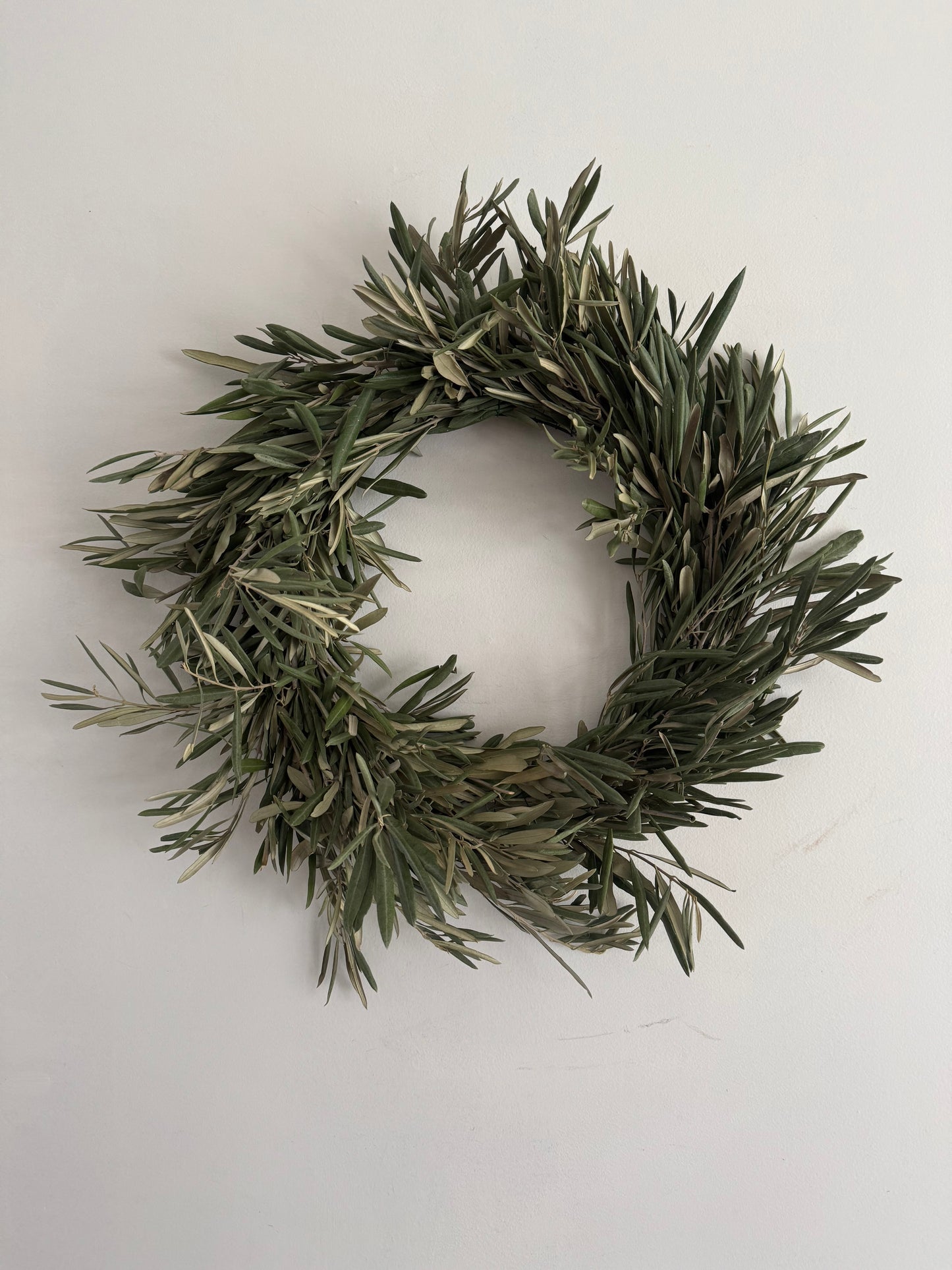 Fresh Olive Branch Wreath