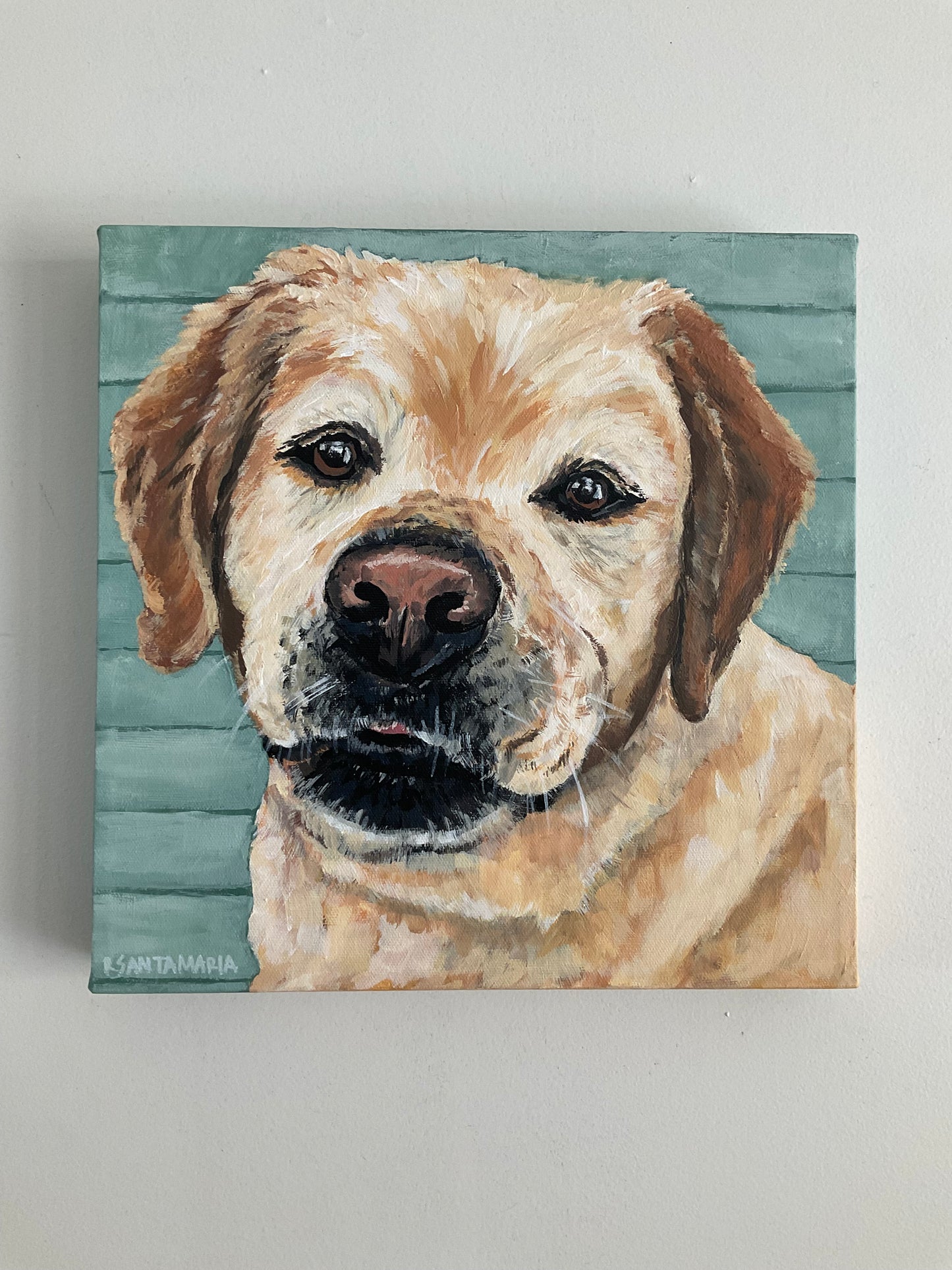 Custom Pet Portrait