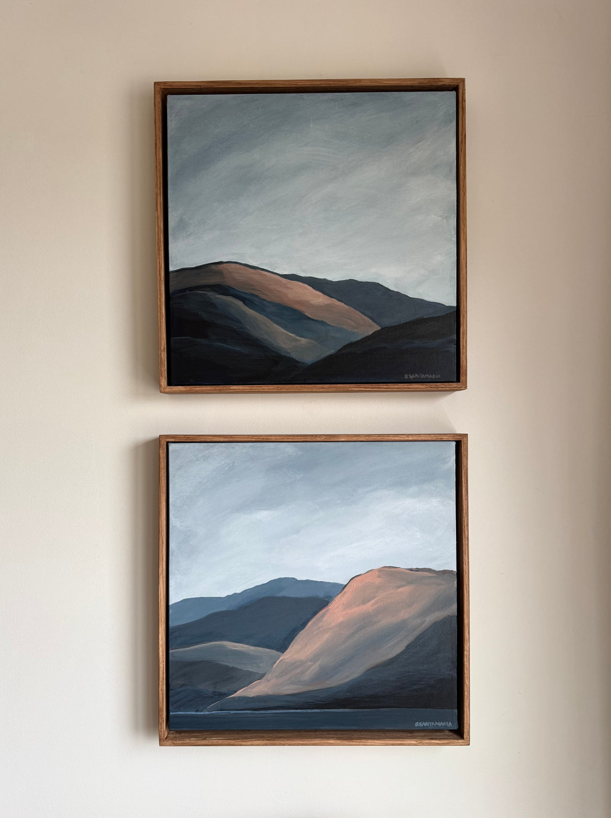 Okanagan Mountain Study #9