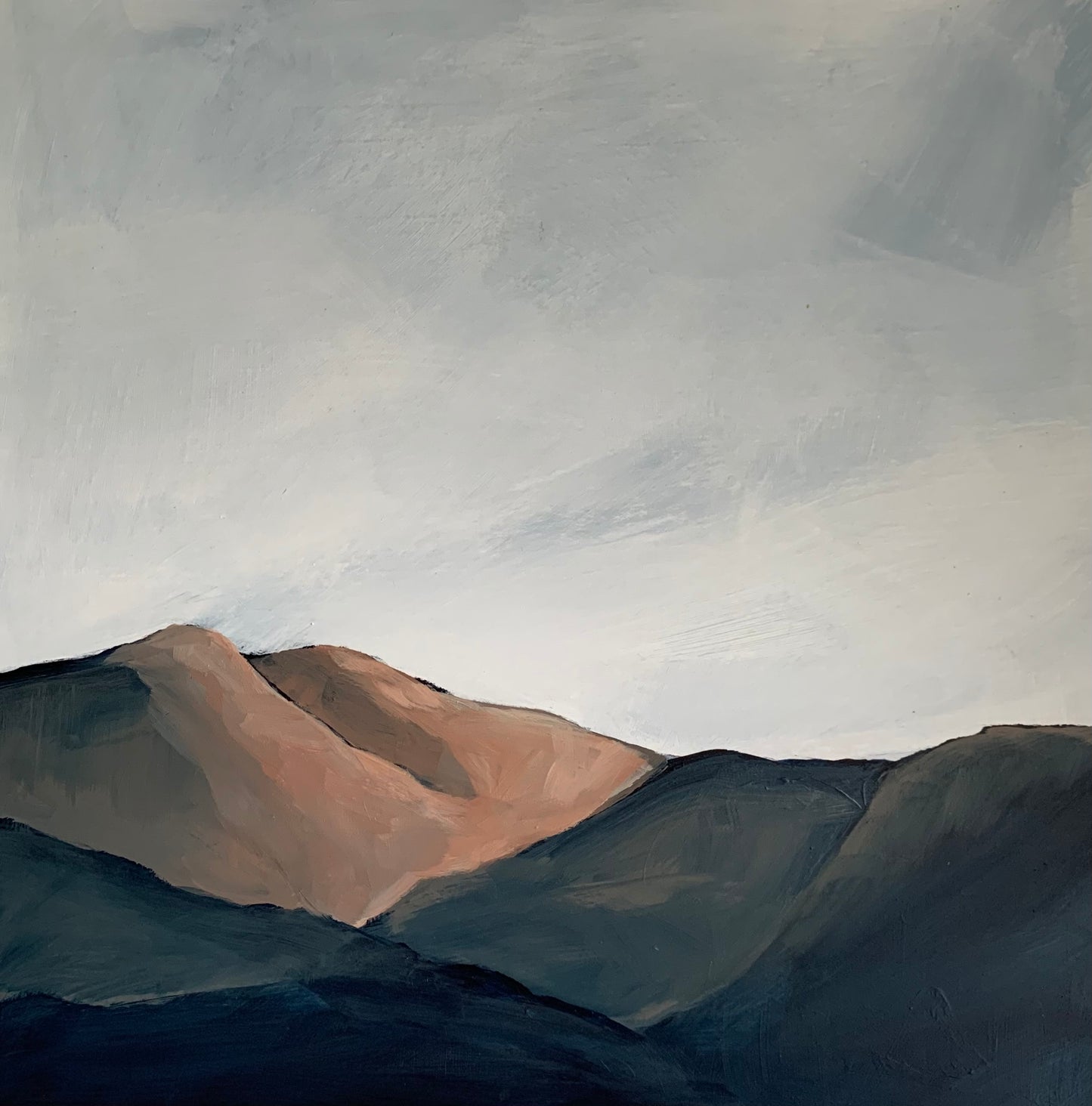 Okanagan Mountain Study #7